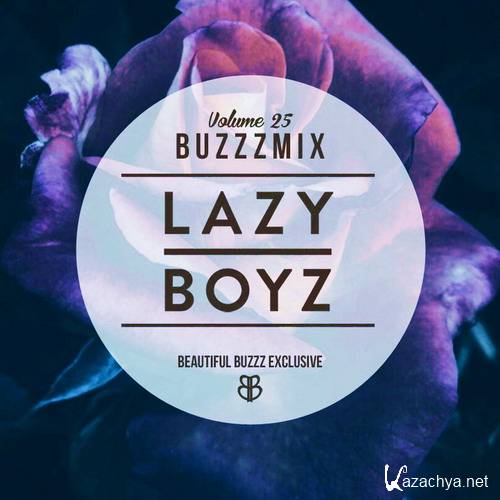 Lazy Boyz - Buzzzmix Vol. 25 (2016)