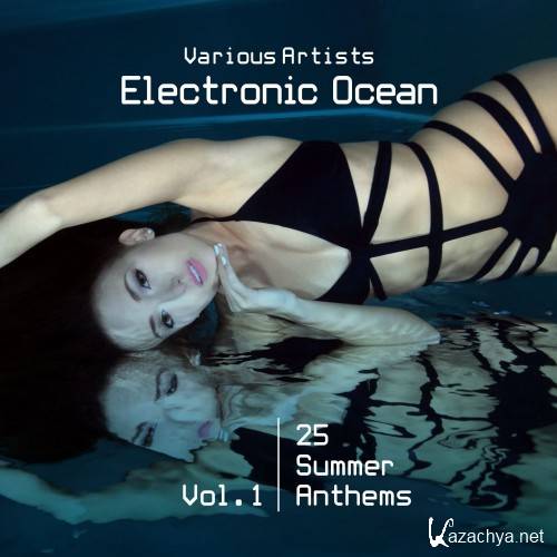 Electronic Ocean (25 Summer Anthems), Vol. 1  (2016)