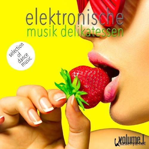 Elektronische Musik Delikatessen Vol 1 (Selection Of Dance Music) (2016)
