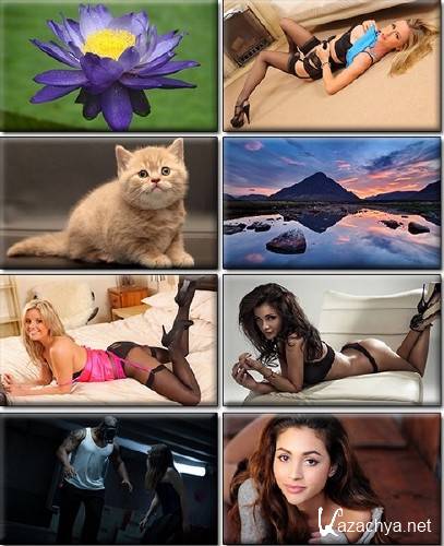 LIFEstyle News MiXture Images. Wallpapers Part (995)