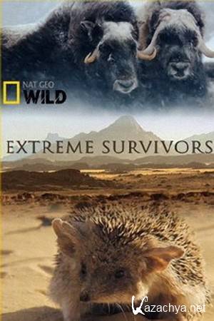      / Extreme Survivors (2014) HDTVRip (720p)