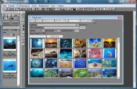 Digital Light and Color Picture Window Pro 7.0.19 Portable