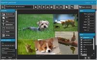 dslrBooth Photo Booth Software 5.7.31.1 Pro Multi/Rus Portable