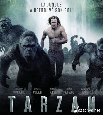 .  / The Legend of Tarzan (2016) WEB-DLRip/WEB-DL 720p/WEB-DL 1080p