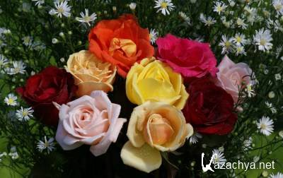 ���� �� ������� ����. ����� #044