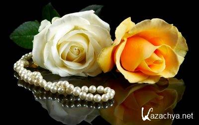 ���� �� ������� ����. ����� #044