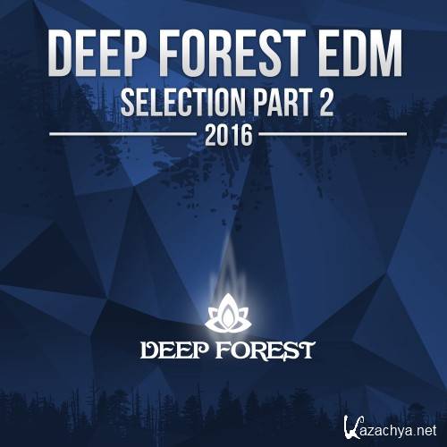 Deep Forest EDM Collection, Pt. 2 2016  (2016)