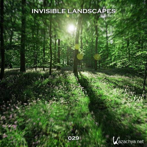 Ru-Bix vs Jester - Invisible Landscapes 029 (2016)