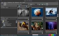 Photo Mechanic 5.0.18040 Multi/Rus Portable