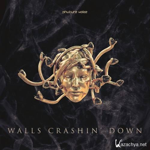 Phuture Noize - Walls Crashin Down (2017)