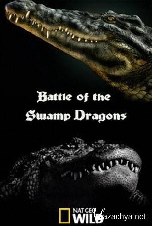    / Battle of the Swamp Dragons (2017)  HDTVRip (720p)