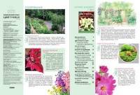 Цветники в саду №1 (январь 2017) Цветники в саду №1 (январь 2017)