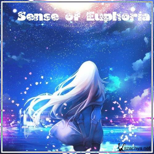 Fluidified - Sense of Euphoria (2017)