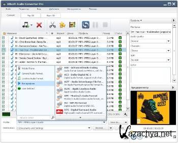 Xilisoft Audio Converter Pro 6.5.0 Build 20170209 + Rus