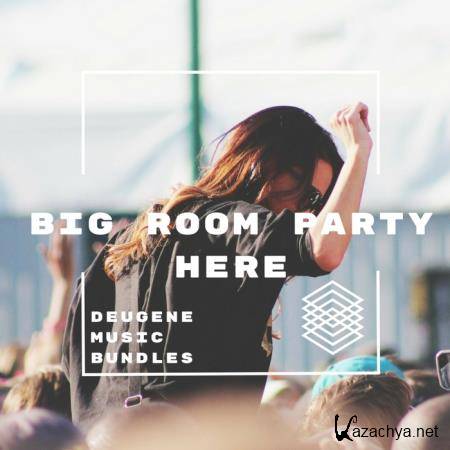 Big Room Party Here (2017)