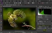 Serif Affinity Photo 1.5.1.54 Win64 Rus/ML Portable