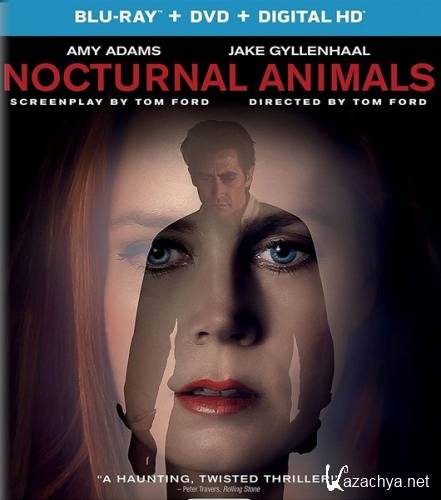    / Nocturnal Animals (2016) HDRip/BDRip 720p/BDRip 1080p