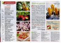 Дачный клуб №3 (март 2017) Дачный клуб №3 (март 2017)