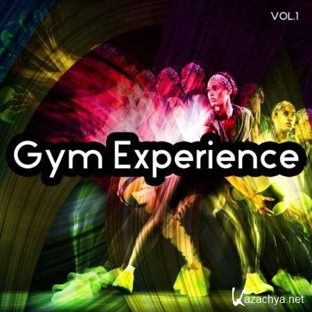 Gym Experience Vol.1 (2017)