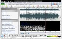 WavePad Sound Editor Master's Edition 7.04 (ML/RUS) Portable