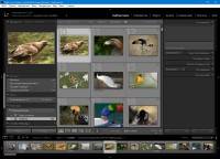 Adobe Photoshop Lightroom CC 2015.9 (6.9) RePack by D!akov Adobe Photoshop Lightroom CC 2015.9 (6.9) RePack by D!akov
