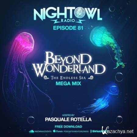 Beyond Wonderland  - Night Owl Radio 081 (2017-03-13)