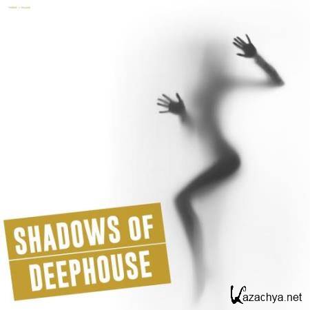 Shadows of Deephouse (2017)