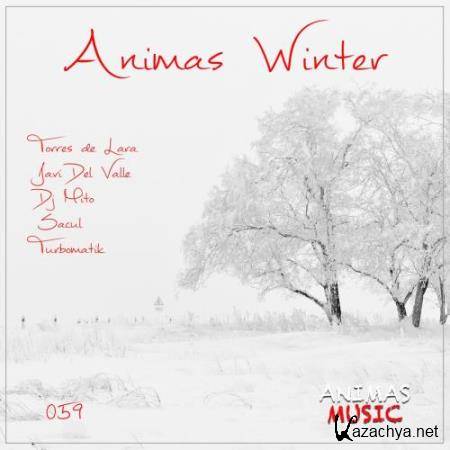 Animas Winter (2017)