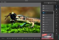 Fotor 3.1.1(154.87) Portable Multi/Rus Fotor 3.1.1(154.87) Portable Multi/Rus