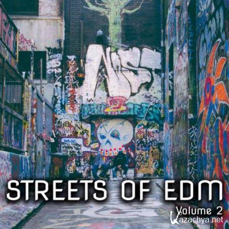 Streets of EDM, Vol. 2 (2017)