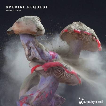 FABRICLIVE 91 SPECIAL REQUEST (CONTINUOUS DJ MIX) (2017)