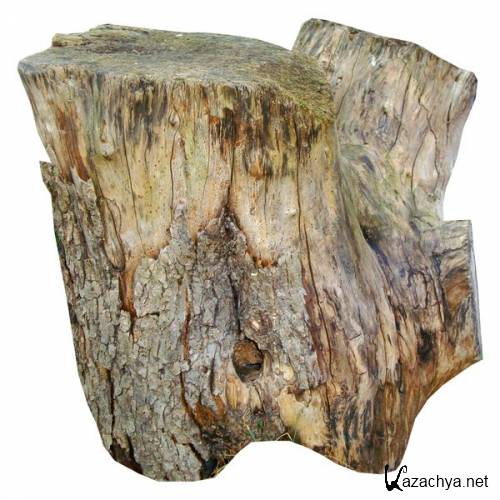 ������ � ��� (�������� �����������) ���������� ���