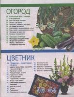  ���, ������, �������. ���������� �3 (������ 2017) 