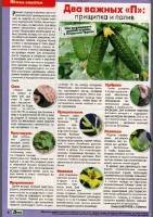 ���� ������� ��� �9 (��� 2017)  