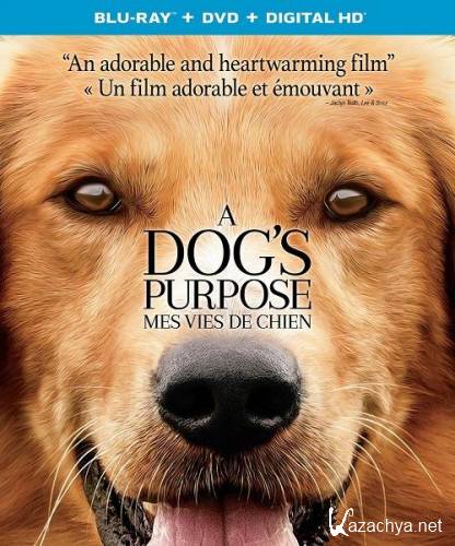   / A Dog's Purpose (2017) HDRip/BDRip 720p/1080p