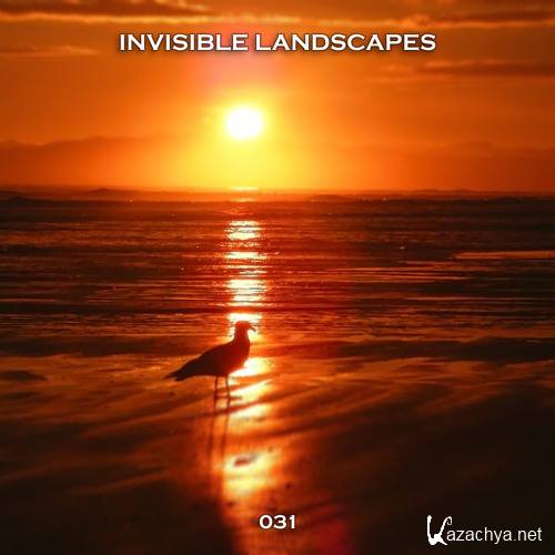 Ru-Bix vs Jester - Invisible Landscapes 031 (2017)