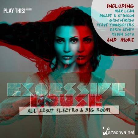 Excessive House: All About Electro & Big Room (2017)