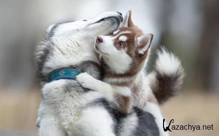 Wallpapers Mix �568