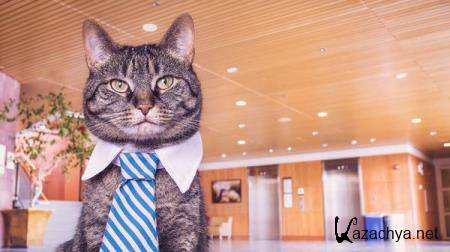 Wallpapers Mix �568