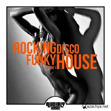 ROCKING FUNKY DISCO HOUSE VOL. 1 (2017)