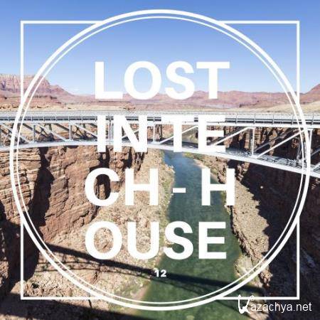 Lost in Tech-House, Vol. 12 (2017)