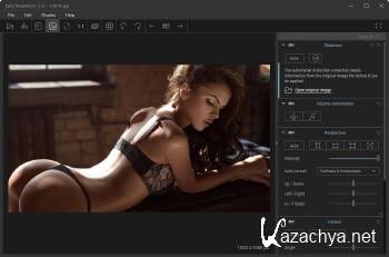 DxO ViewPoint 3.1.4 Build 251 (x64) ENG