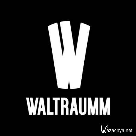 One Year With Waltraumm (2017) FLAC