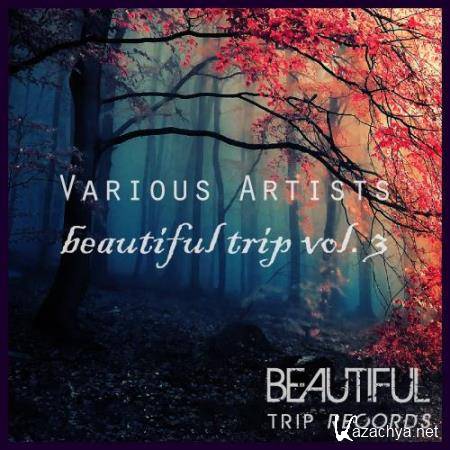 Beautiful Trip, Vol. 3 (2018)