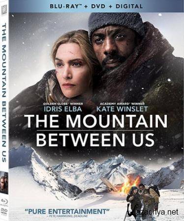     / The Mountain Between Us  (2017) HDRip