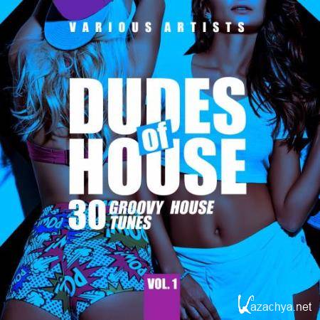 Dudes of House (30 Groovy House Tunes), Vol. 1 (2018)