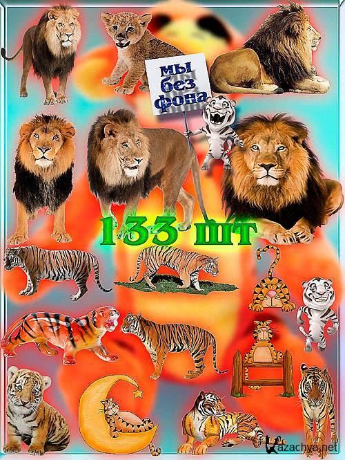 Клипарты для фотошопа на прозрачном фоне - Львы и тигры