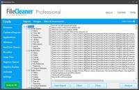 FileCleaner Pro 4.8.0 Build 318 FileCleaner Pro 4.8.0 Build 318