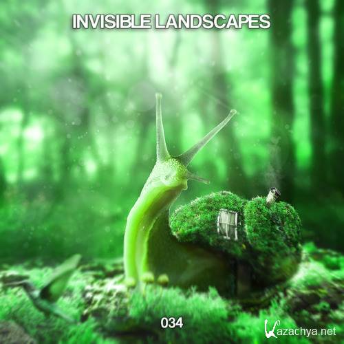 Ru-Bix vs Jester - Invisible Landscapes 034 (2018)