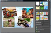 NCH PhotoPad Image Editor Pro 4.06 ML/Rus Portable